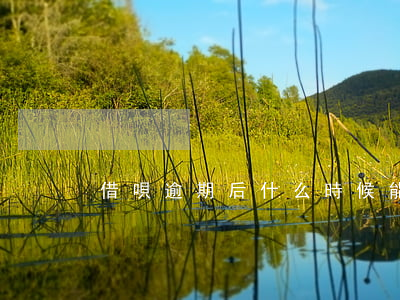 借唄逾期后什么時候能重新開通-