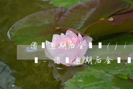 借唄逾期后全額結(jié)清可以有減免嗎-借唄逾期后全額結(jié)清可以有減免嗎
