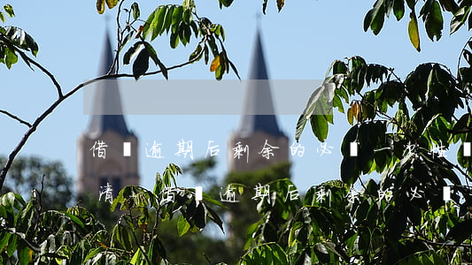 借唄逾期后剩余的必須一次性結(jié)清-借唄逾期后剩余的必須一次性結(jié)清嗎