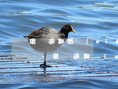 借唄逾期后協(xié)商還款還會上征信嗎-借唄逾期協(xié)商還款還會上征信嗎?