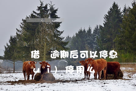 借唄逾期后可以停息掛賬嗎(借唄逾期會(huì)停用么)