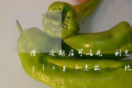 借唄逾期后可以先還利息嗎(借唄逾期后應(yīng)怎么樣還比較少利息)