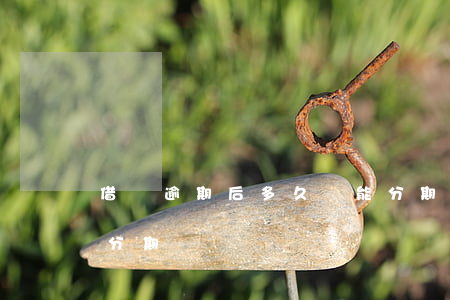 借唄逾期后多久還能分期(借唄逾期了能不能分期)
