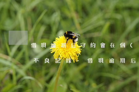 借唄逾期后守約會在個(gè)人征信上有不良記錄-借唄逾期后守約會在個(gè)人征信上有不良記錄嗎?