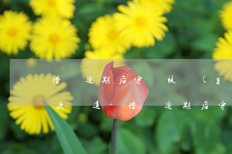 借唄逾期后守約被關(guān)了,怎么再次開通-借唄逾期后守約被關(guān)了,怎么再次開通征信