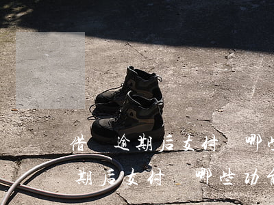 借唄逾期后支付寶哪些功能不能用-借唄逾期后支付寶哪些功能不能用了