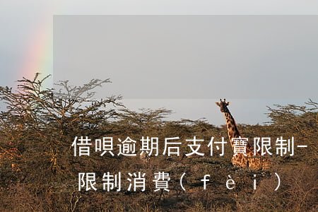 借唄逾期后支付寶限制-借唄逾期后支付寶限制消費(fèi)