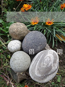 借唄逾期后會一次結(jié)清所有分期嗎-借唄逾期后會一次結(jié)清所有分期嗎