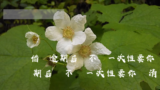 借唄逾期后會不會一次性要你還清-借唄逾期后會不會一次性要你還清錢