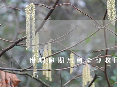 借唄逾期后會全部收回欠款么(借唄逾期還清后)