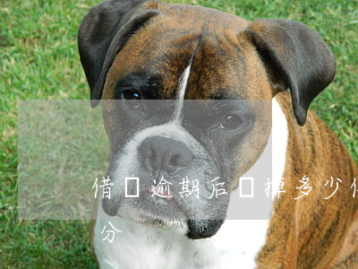 借唄逾期后會掉多少信用分(借唄逾期扣多少分)