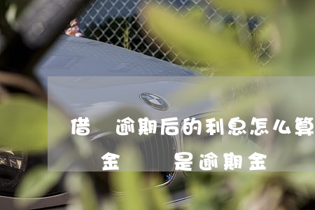 借唄逾期后的利息怎么算(借唄逾期利息是按總金額還是逾期金額)