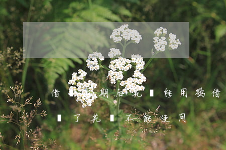 借唄逾期后花唄能用嘛(借唄逾期后還款了影響了花唄不能使用)