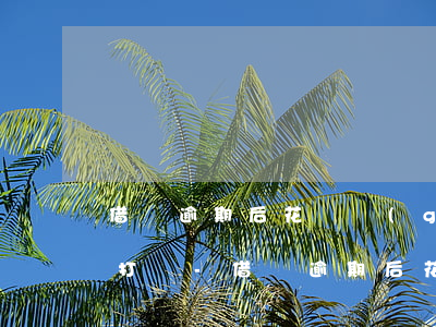 借唄逾期后花唄關(guān)閉了多久會打開-借唄逾期后花唄關(guān)閉了多久會打開呢