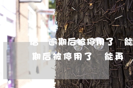 借唄逾期后被停用了還能再開通嗎-借唄逾期后被停用了還能再開通嗎安全嗎
