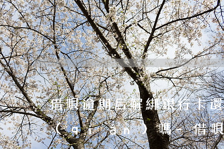 借唄逾期后解綁銀行卡還會(huì)扣錢(qián)嗎-借唄逾期后解綁銀行卡還會(huì)扣錢(qián)嗎安全嗎