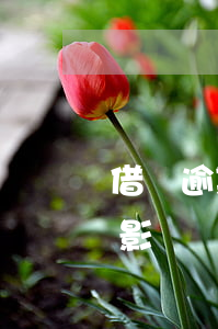 借唄逾期后說要罰我五萬(借唄逾期5天有啥影響嗎)