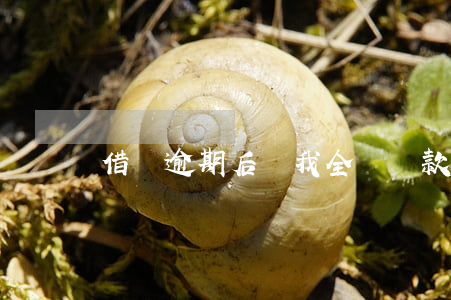 借唄逾期后讓我全額還款