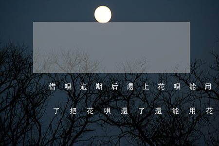借唄逾期后還上花唄能用嗎(借唄和花唄逾期了把花唄還了還能用花唄嗎)