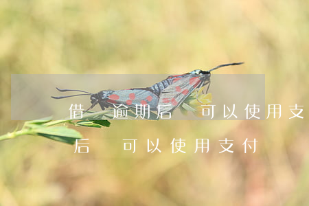 借唄逾期后還可以使用支付寶嗎-借唄逾期后還可以使用支付寶嗎安全嗎