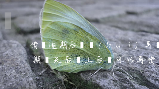 借唄逾期后還會(huì)再開通嗎(借唄逾期幾天后,還上后,還可以再借)