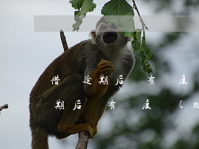 借唄逾期后還有額度沒(méi)-借唄逾期后還有額度沒(méi)借怎么辦