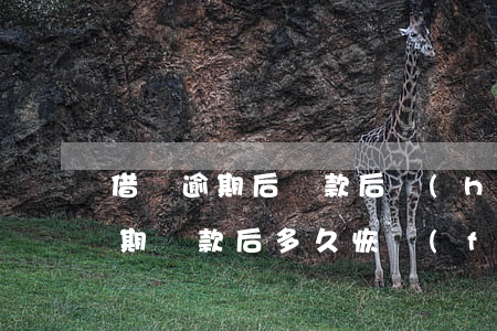 借唄逾期后還款后會(huì)怎樣(借唄逾期還款后多久恢復(fù)借唄)