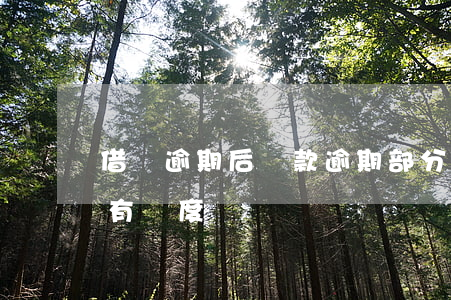 借唄逾期后還款逾期部分(借唄逾期還款后還有額度嗎)