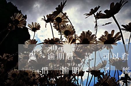 借唄逾期后還款還可以套出來(lái)嗎-借唄逾期了還了還能套出來(lái)嘛