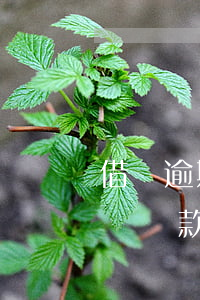借唄逾期后還款還能借嗎(借唄逾期還清后影響貸款嗎)