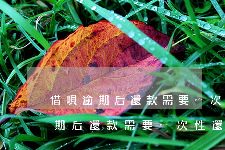 借唄逾期后還款需要一次性還清嗎-借唄逾期后還款需要一次性還清嗎