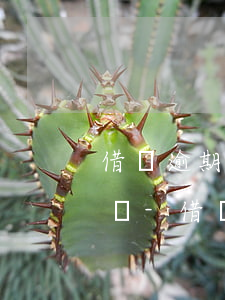 借唄逾期后還能協(xié)商延期還款么嗎-借唄逾期后還能協(xié)商延期還款么嗎知乎