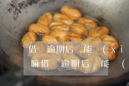 借唄逾期后還能協(xié)商延期還款么嘛(借唄逾期后還能協(xié)商延期還款么嘛)