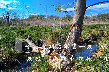 借唄逾期后需要一次還清嗎(借唄逾期要求一次性還款,能不能先還逾期的部分)
