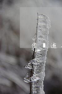借唄逾期向戶籍法院訴訟(借唄逾期被告法庭)