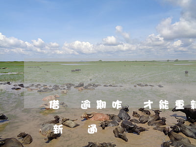 借唄逾期咋樣才能重新開通(借唄逾期多久重新開通)