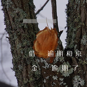 借唄逾期和京東有關(guān)系嗎(京東金條逾期了,會(huì)影響到支付寶借唄嗎)
