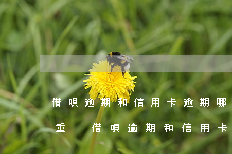 借唄逾期和信用卡逾期哪個更嚴(yán)重-借唄逾期和信用卡逾期哪個更嚴(yán)重一些