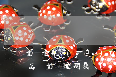 借唄逾期嚴(yán)重后果會(huì)怎樣(借唄逾期最嚴(yán)重的結(jié)果)