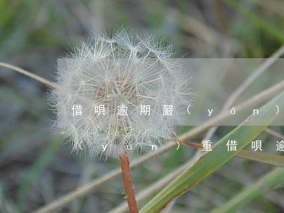借唄逾期嚴(yán)重還是信用卡逾期嚴(yán)重(借唄逾期還款會(huì)影響信用嗎)