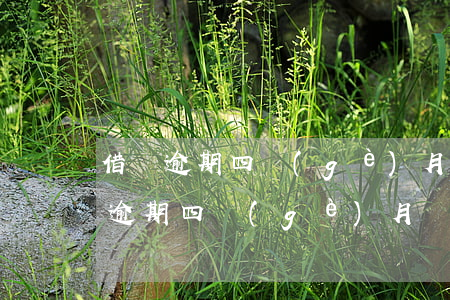 借唄逾期四個(gè)月沒錢還怎么辦（借唄逾期四個(gè)月沒錢還怎么辦）