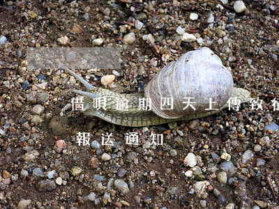 借唄逾期四天上傳致征信(借唄逾期記錄征信報送通知)