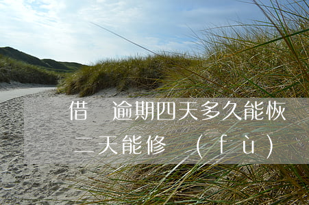 借唄逾期四天多久能恢復(fù)(借唄逾期二天能修復(fù)嗎)