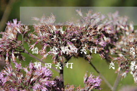 借唄逾期四天打電話說交給第三方-借唄逾期四天打電話說交給第三方是真的嗎