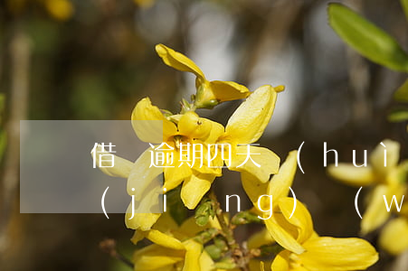 借唄逾期四天會(huì)有什么后果?,有獎(jiǎng)問(wèn)答-借唄逾期4天會(huì)有什么后果?,有獎(jiǎng)問(wèn)答