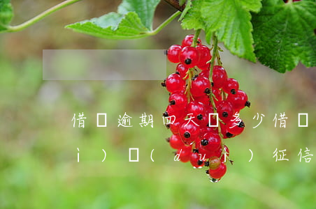 借唄逾期四天還多少(借唄逾期四天會(huì)對(duì)征信有影響嗎)