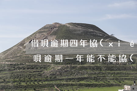 借唄逾期四年協(xié)商還款(支付寶借唄逾期一年,能不能協(xié)商還款)