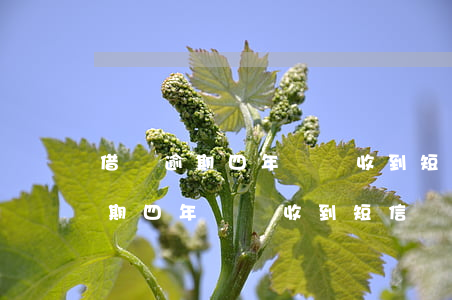 借唄逾期四年沒還收到短信還本金-借唄逾期四年沒還收到短信還本金怎么辦