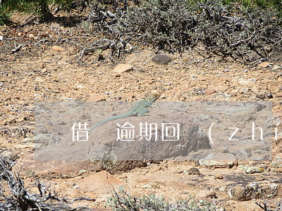 借唄逾期回執(zhí)單如何填寫