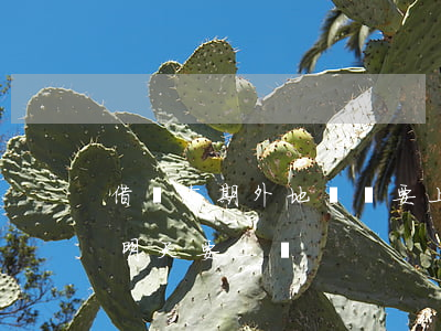 借唄逾期外地號碼要上門(借唄逾期打電話說明天要上門)